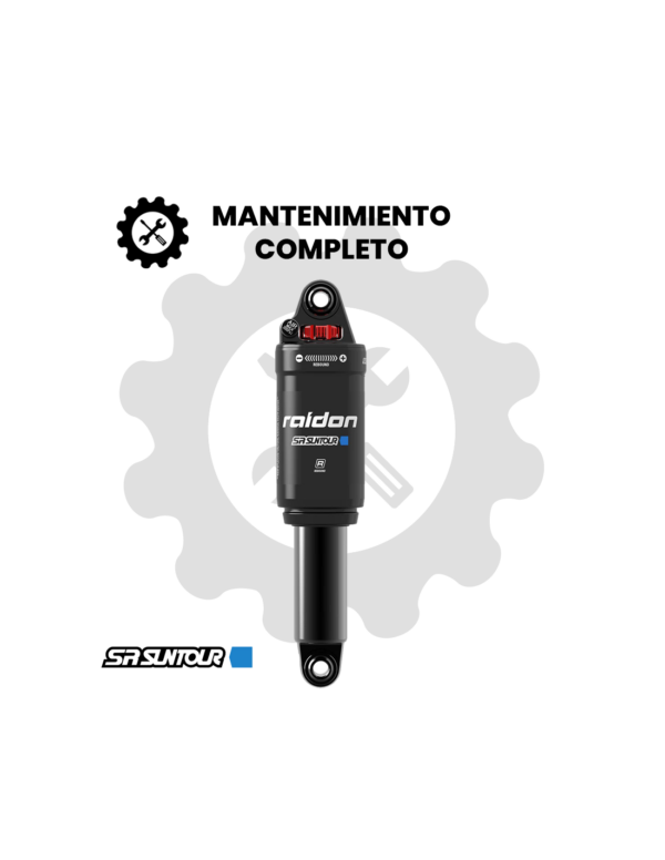 MANTENIMIENTO SR SUNTOUR RAIDON